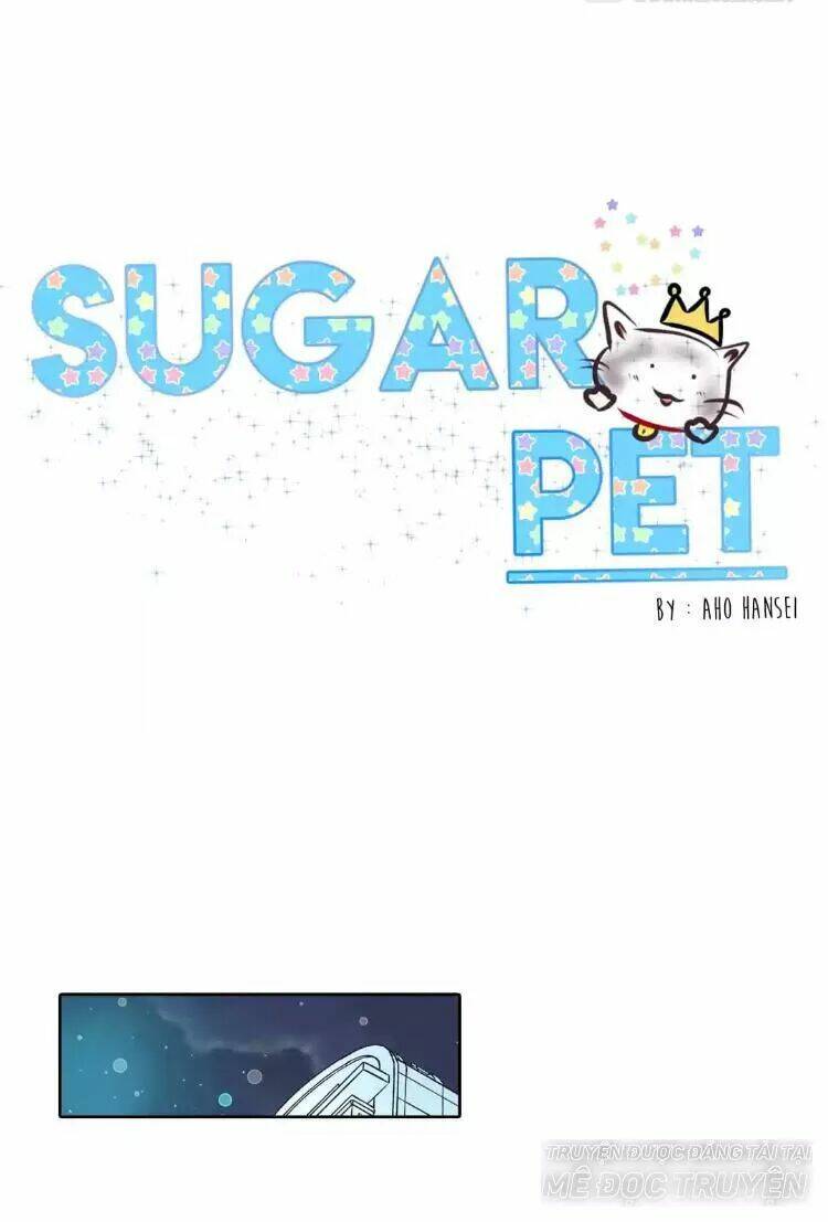 Sugar Pet - Chương 17