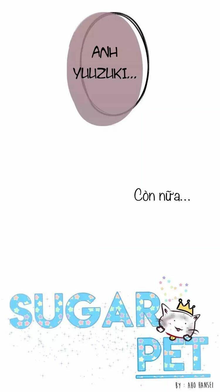 Sugar Pet - Chương 18