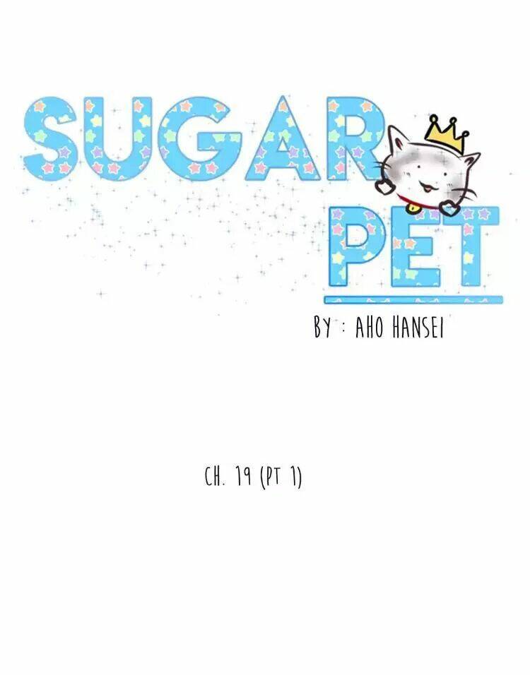 Sugar Pet - Chương 19