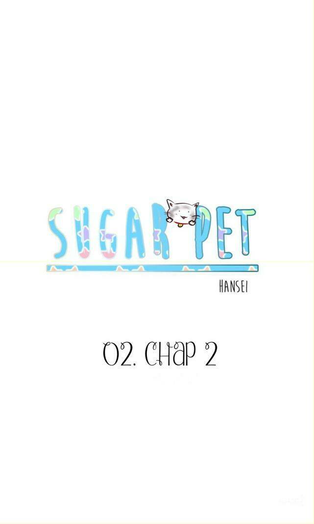 Sugar Pet - Chương 2