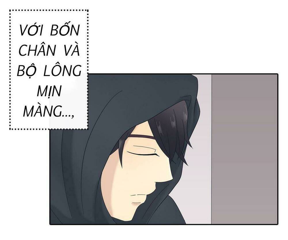 Sugar Pet - Chương 2