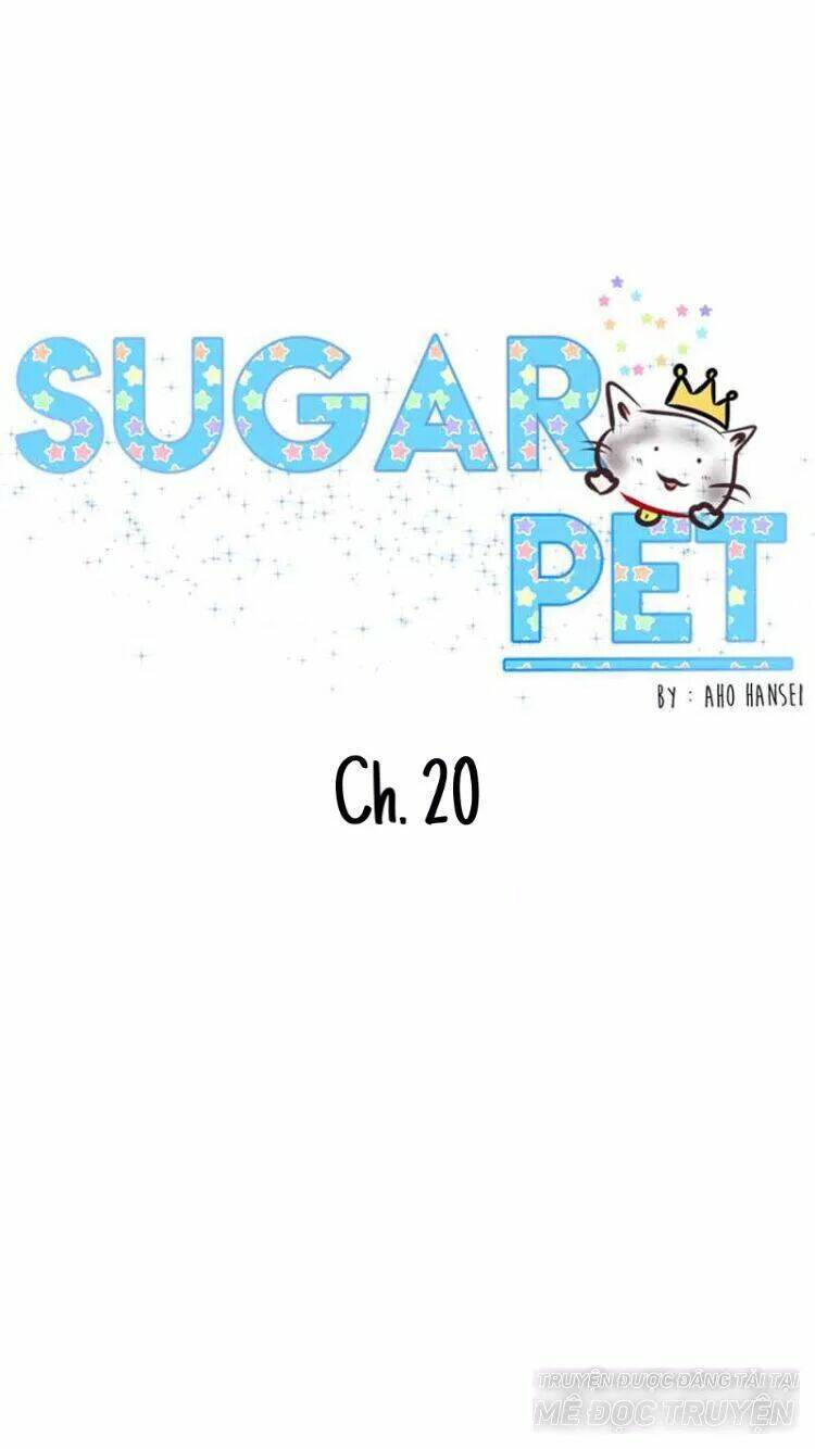 Sugar Pet - Chương 20
