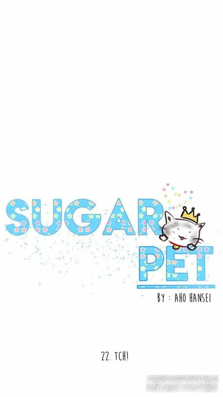 Sugar Pet - Chương 22