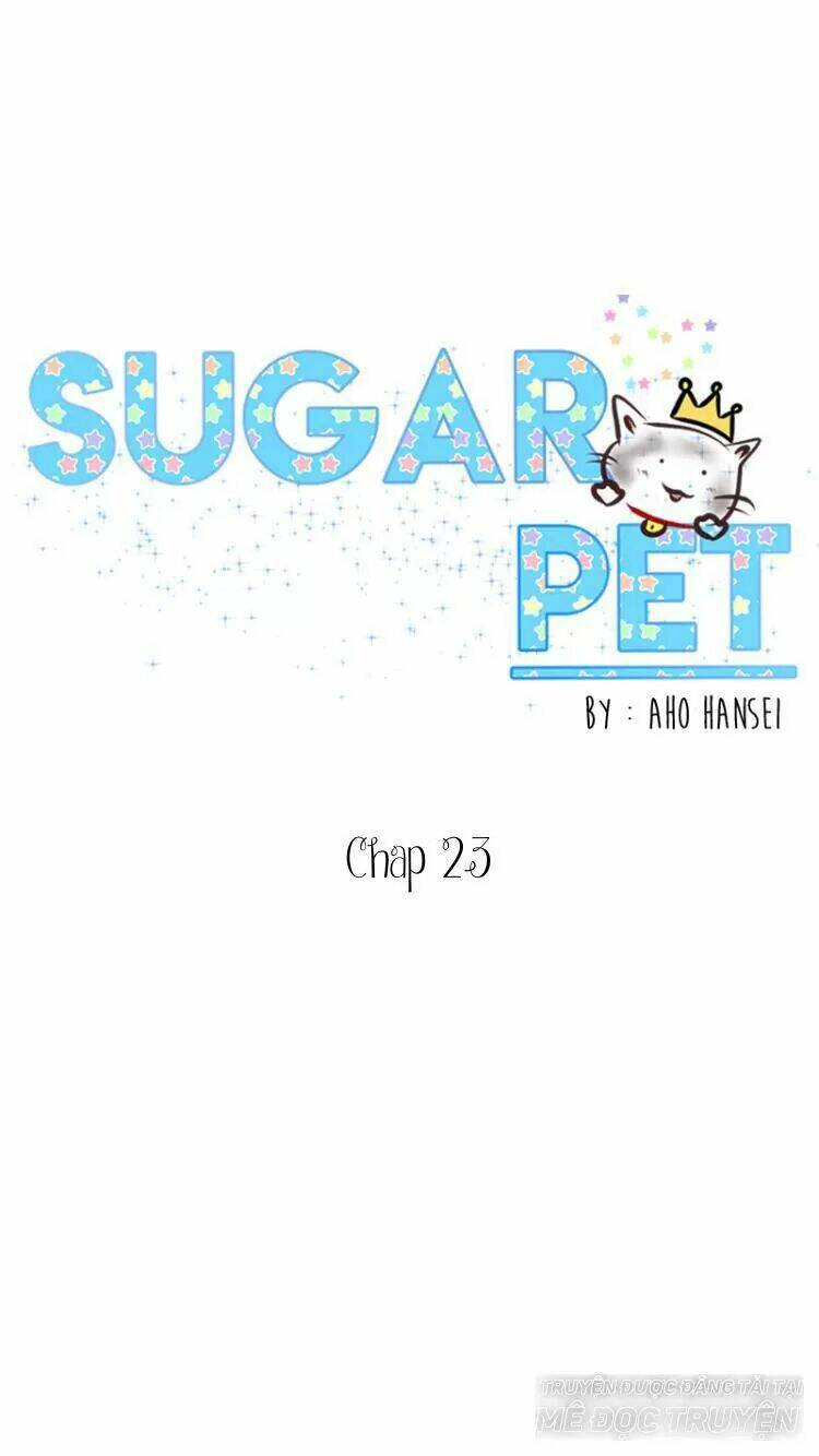 Sugar Pet - Chương 23
