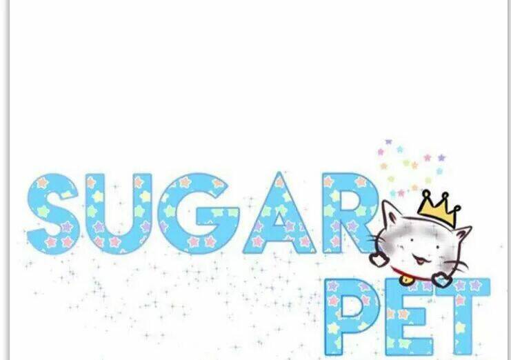 Sugar Pet - Chương 24