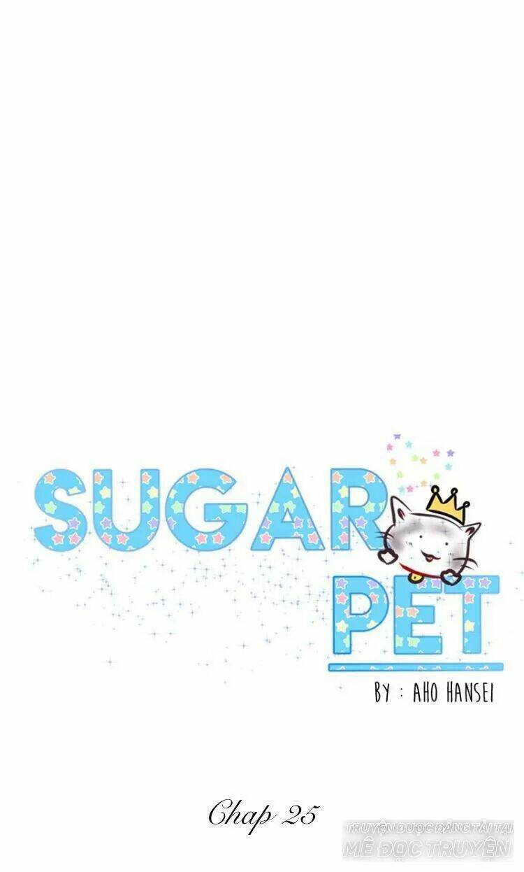 Sugar Pet - Chương 25