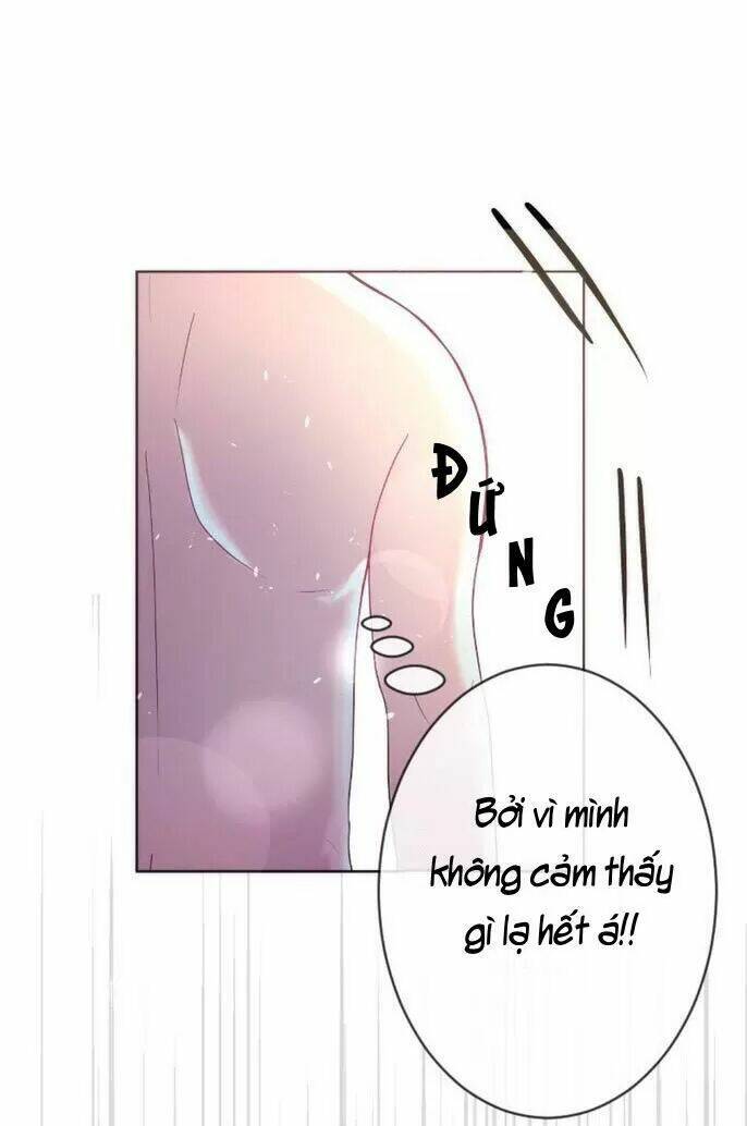 Sugar Pet - Chương 27