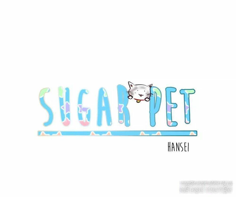 Sugar Pet - Chương 3
