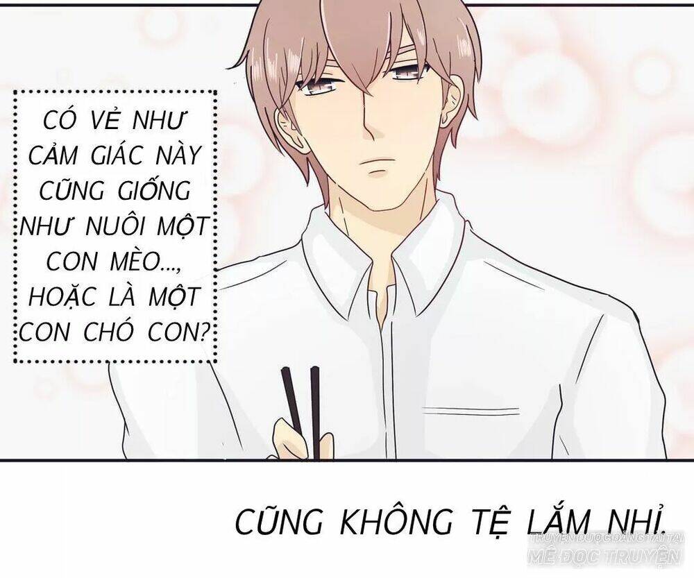 Sugar Pet - Chương 3