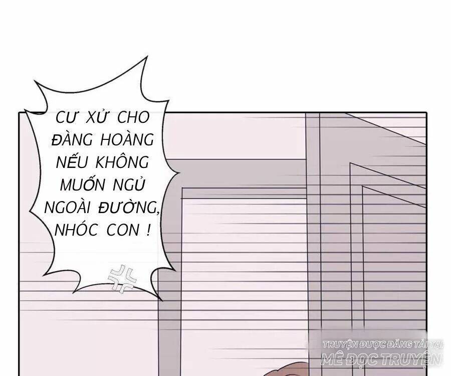 Sugar Pet - Chương 4
