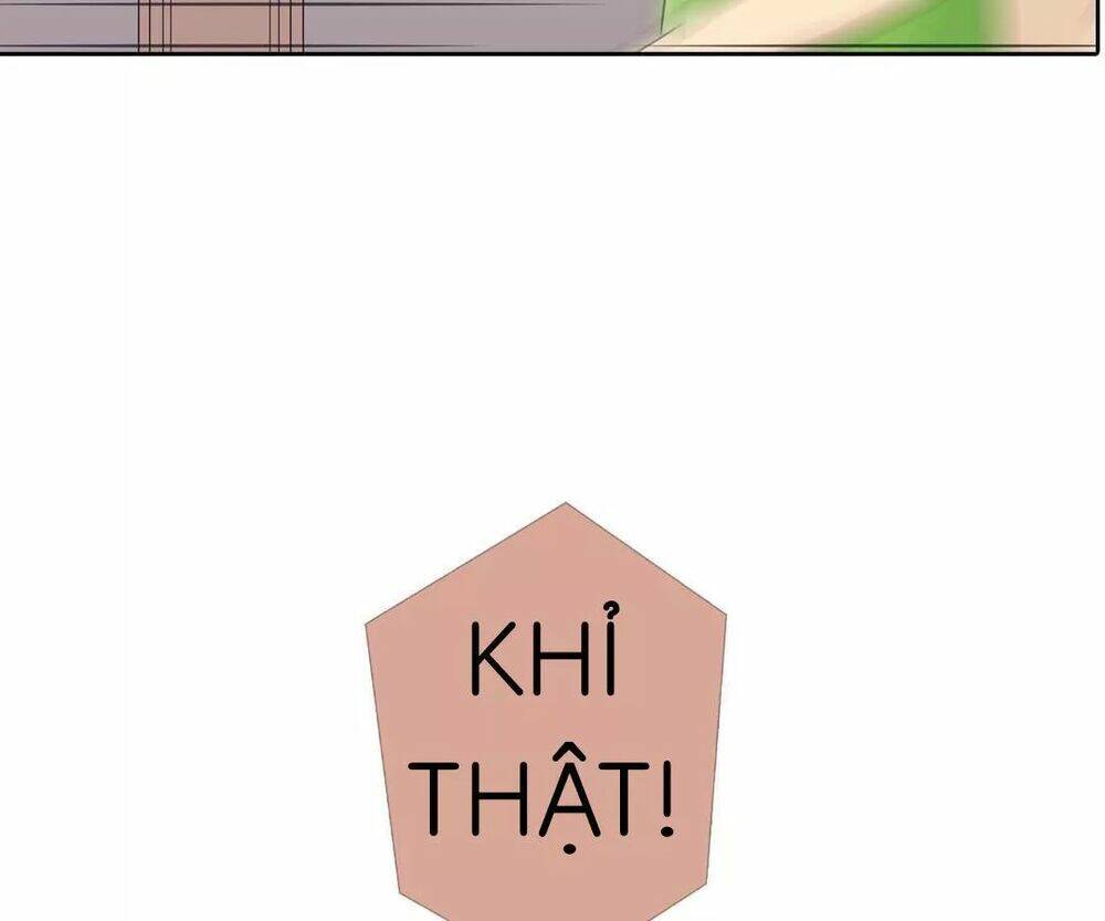 Sugar Pet - Chương 4