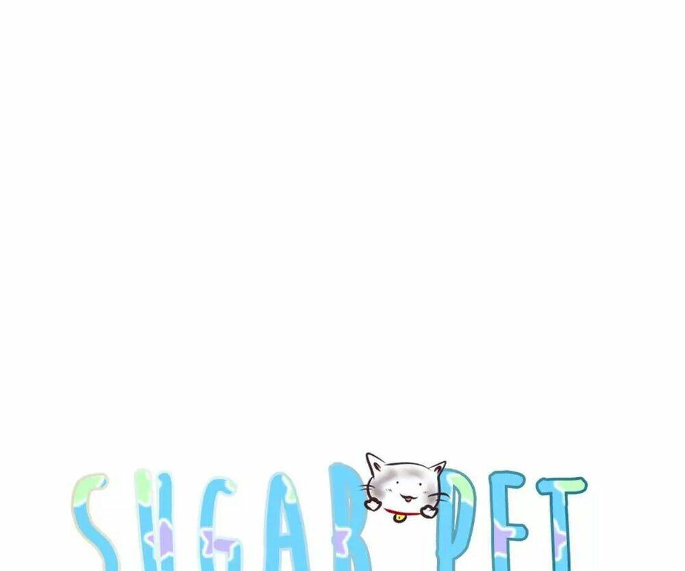 Sugar Pet - Chương 6