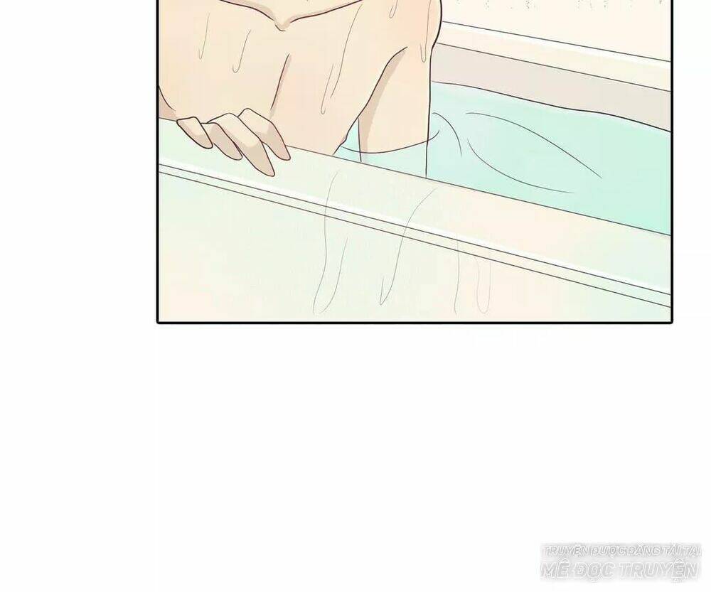 Sugar Pet - Chương 6