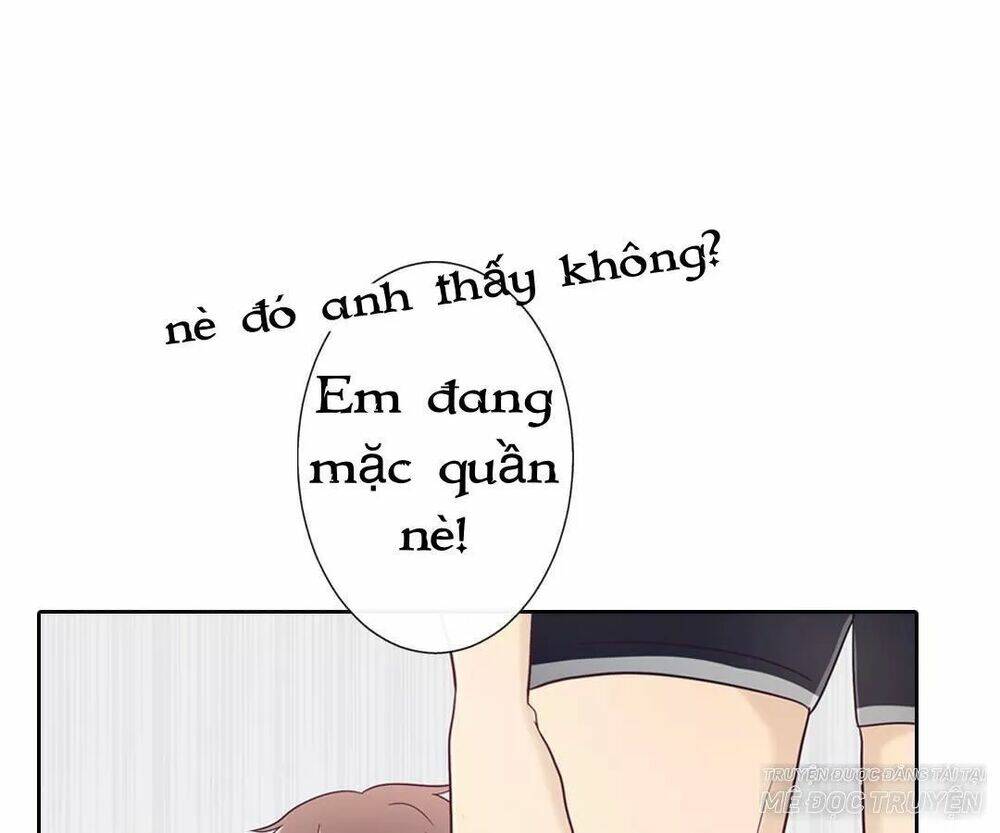 Sugar Pet - Chương 7