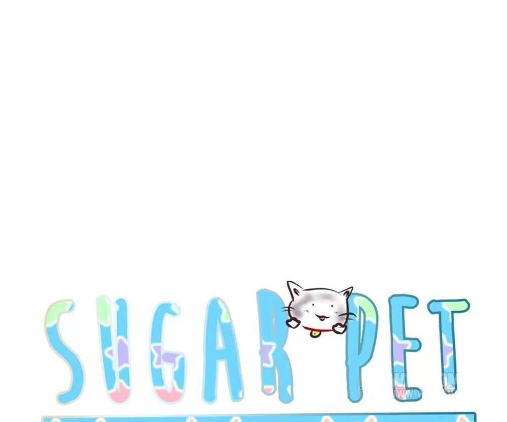 Sugar Pet - Chương 7