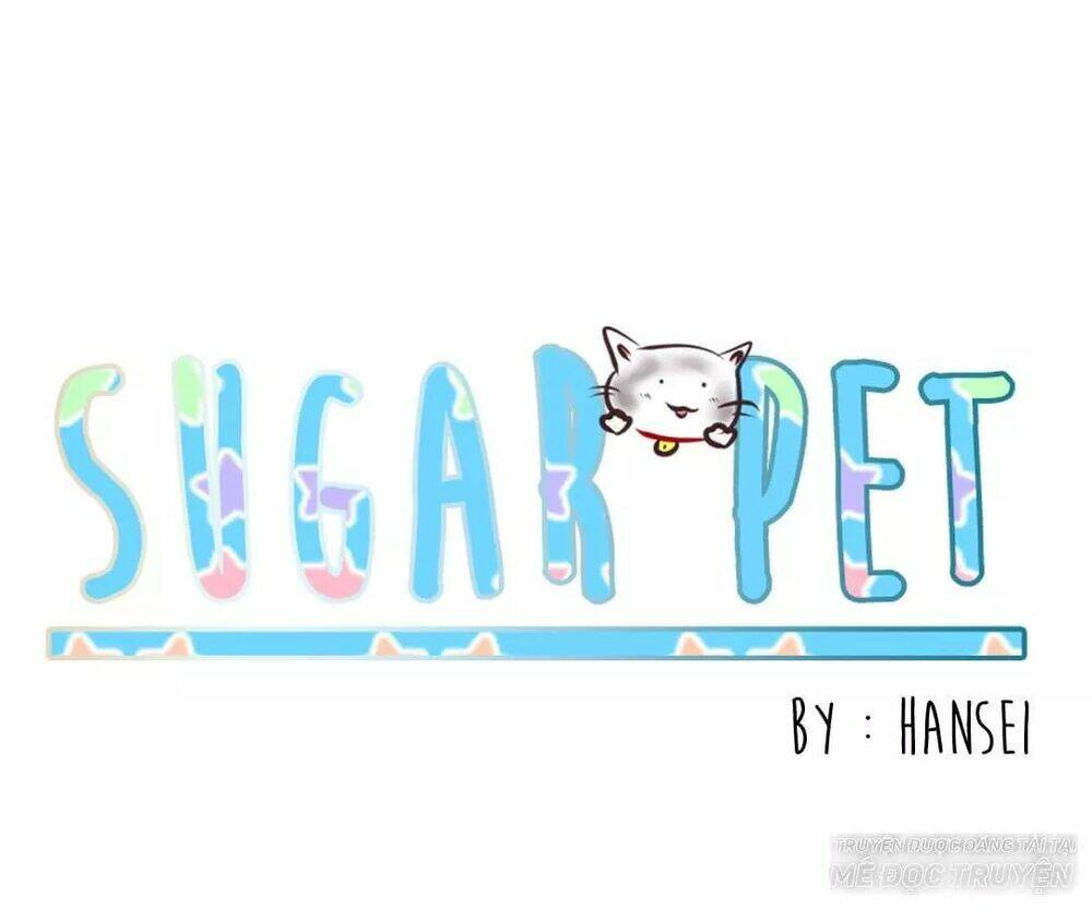 Sugar Pet - Chương 9