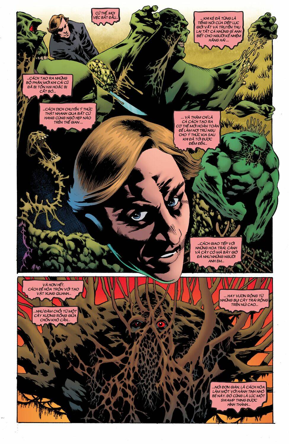 Swamp Thing - Chương 4