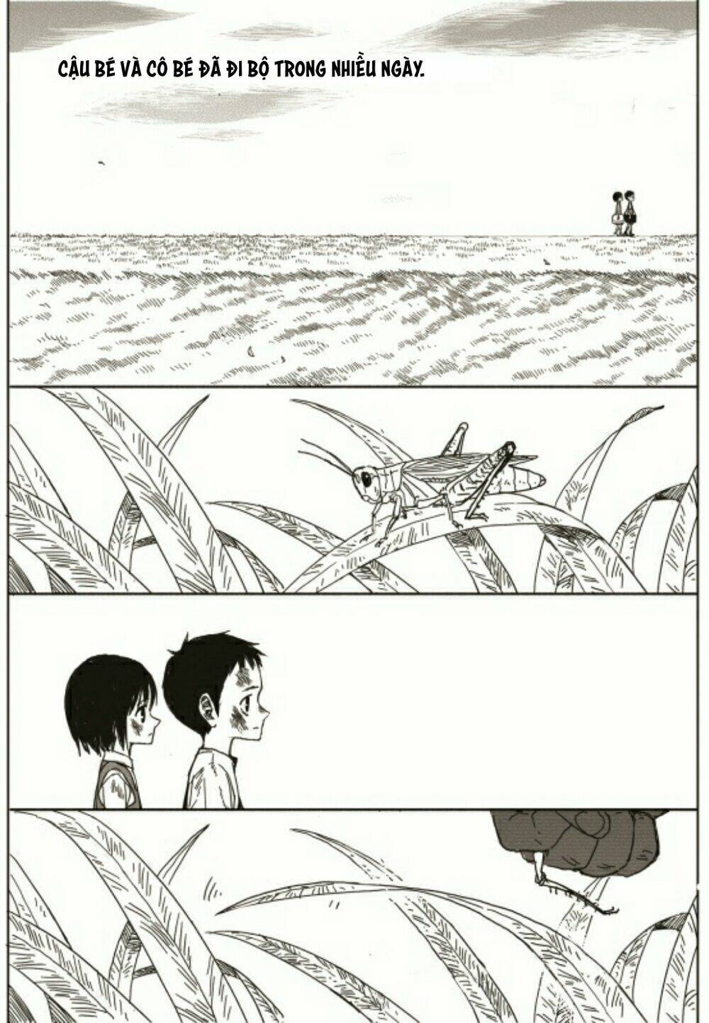 The Horizon - Chương 2