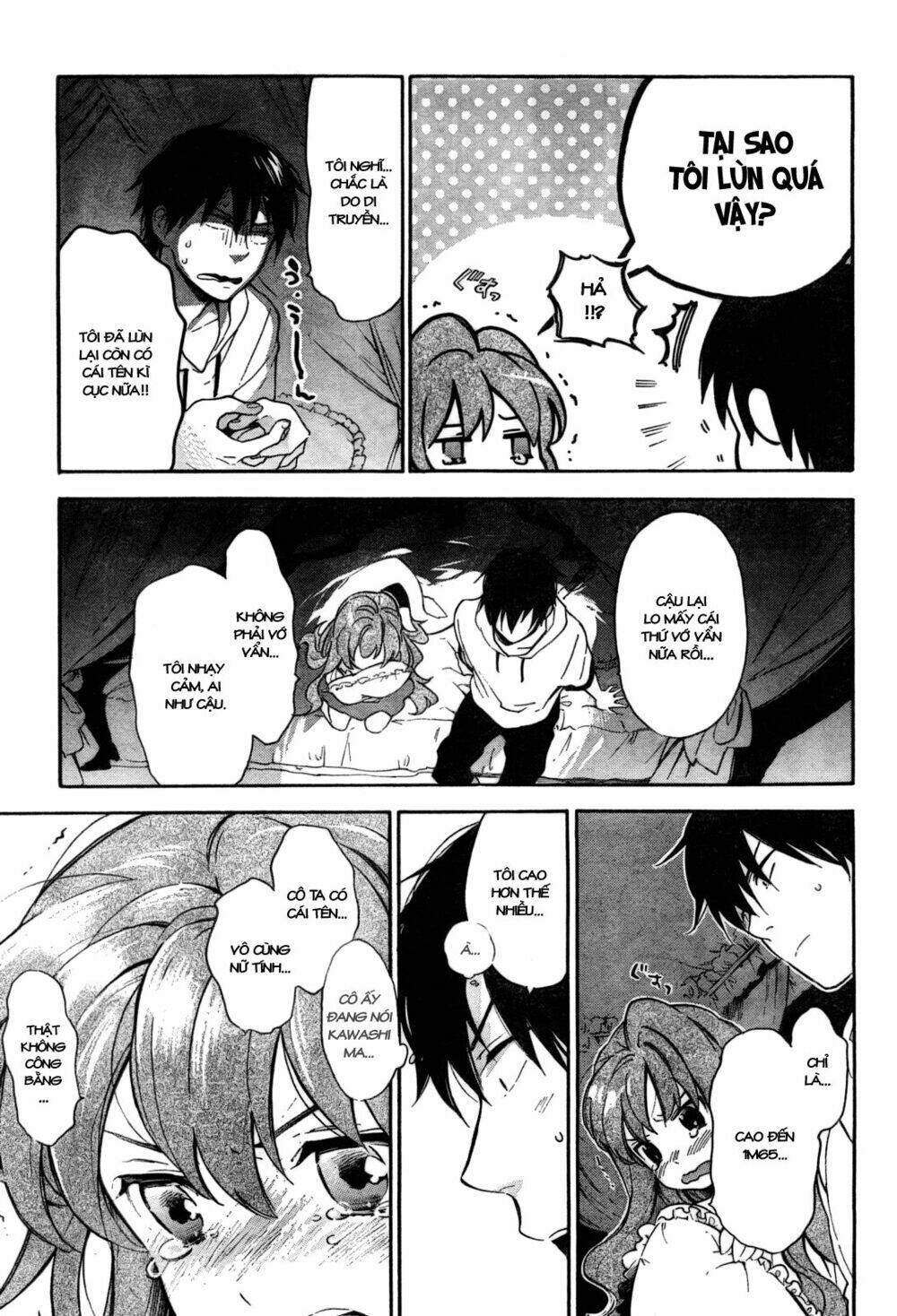 Toradora! - Chương 17
