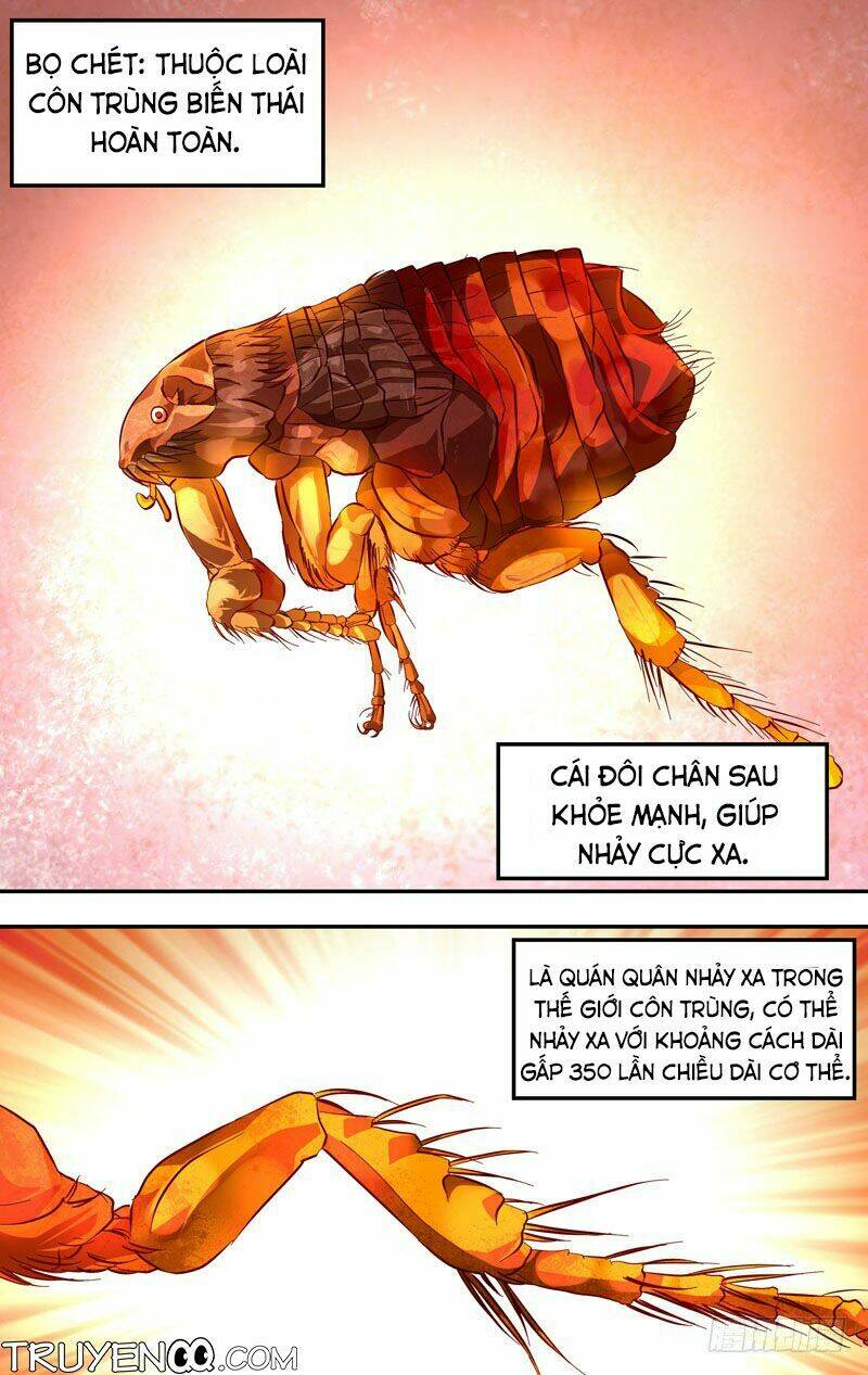 Trùng Sinh - Chương 14