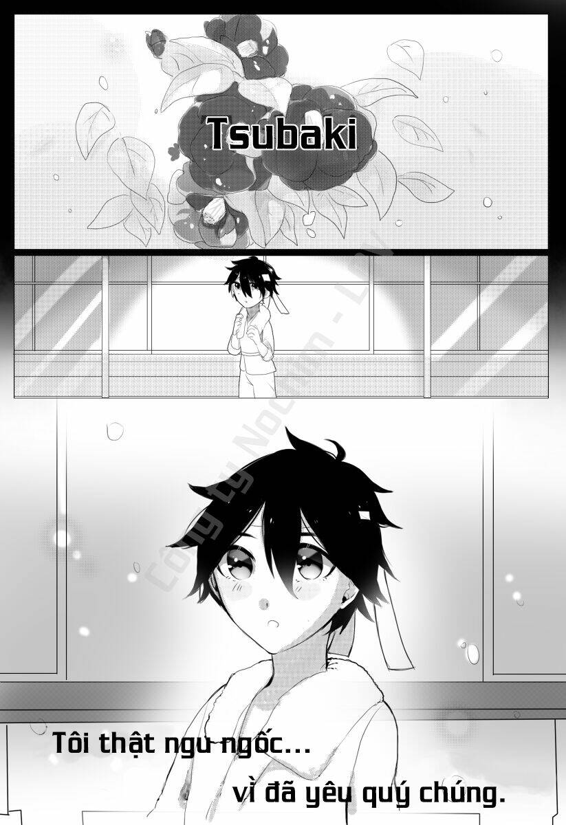 Tsubaki - Chương 1