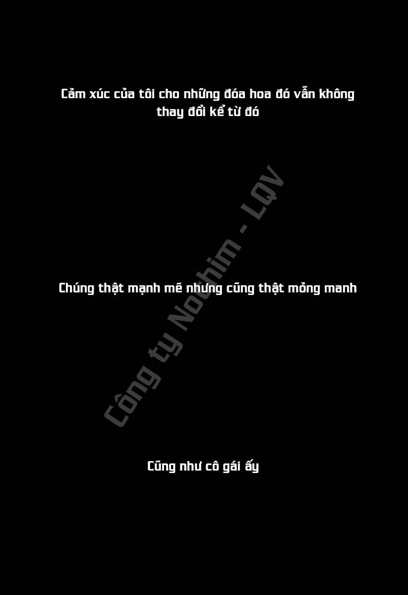 Tsubaki - Chương 1