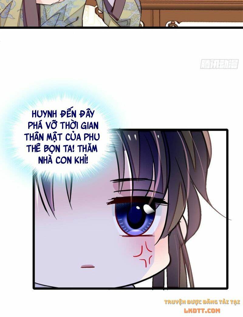 TỰ CẨM - Chương 182