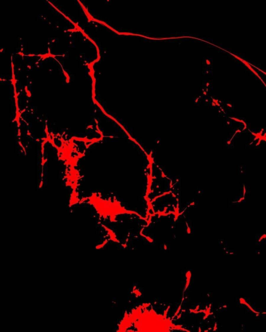 Tử Thần - Chương 35