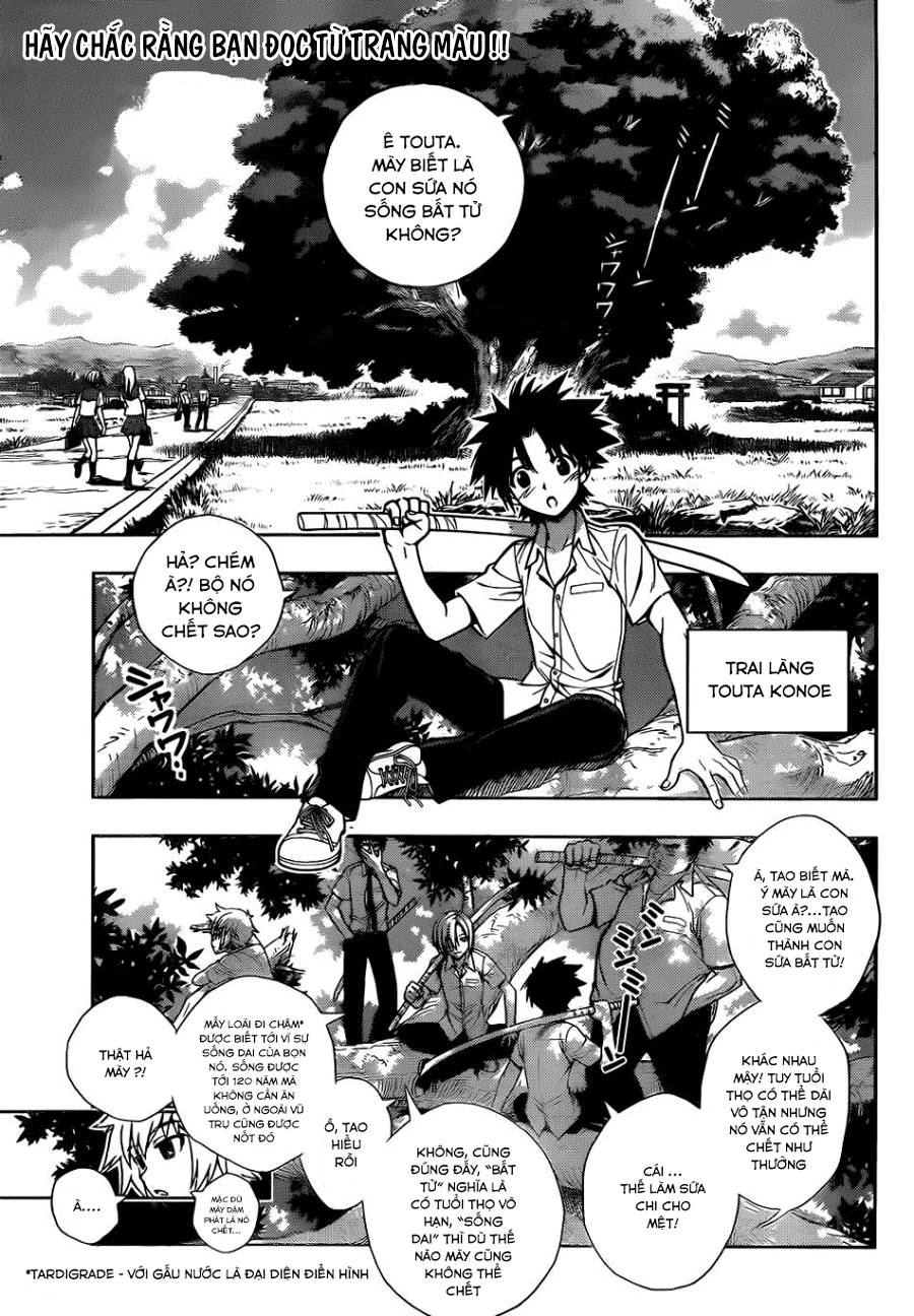 Uq Holder - Chương 1