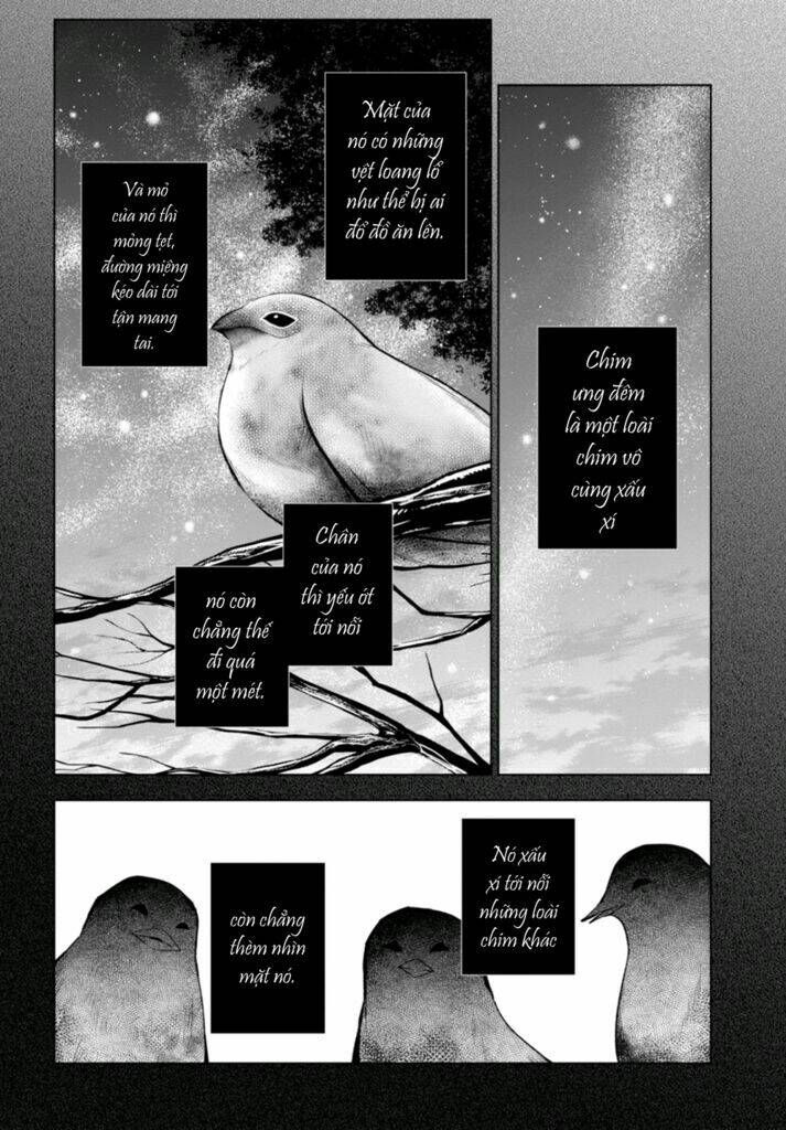 Vanishing Starlight - Chương 5