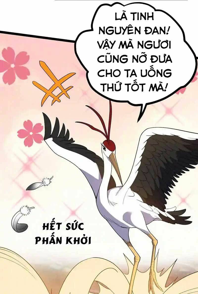 Vĩnh Sinh - Chương 41