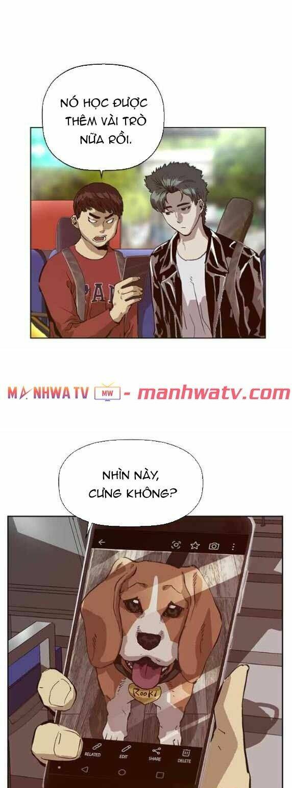 Weak Hero - Chương 137