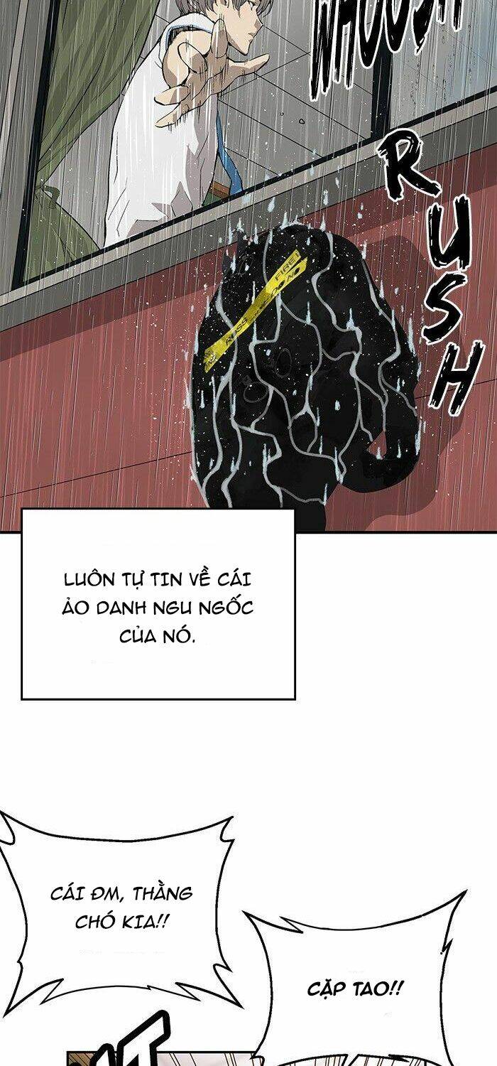 Weak Hero - Chương 17