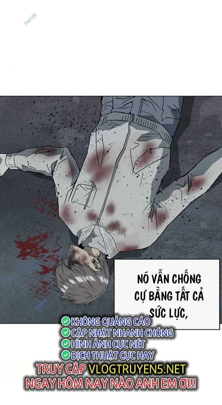 Weak Hero - Chương 254
