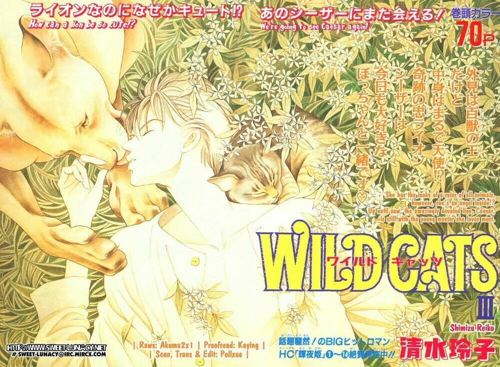 Wild Cats - Chương 1