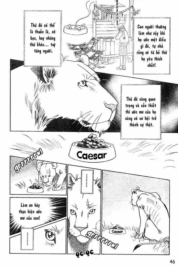 Wild Cats - Chương 1