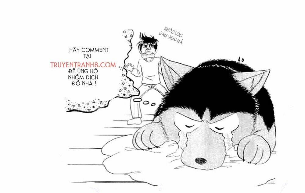 Wild Half - Chương 11