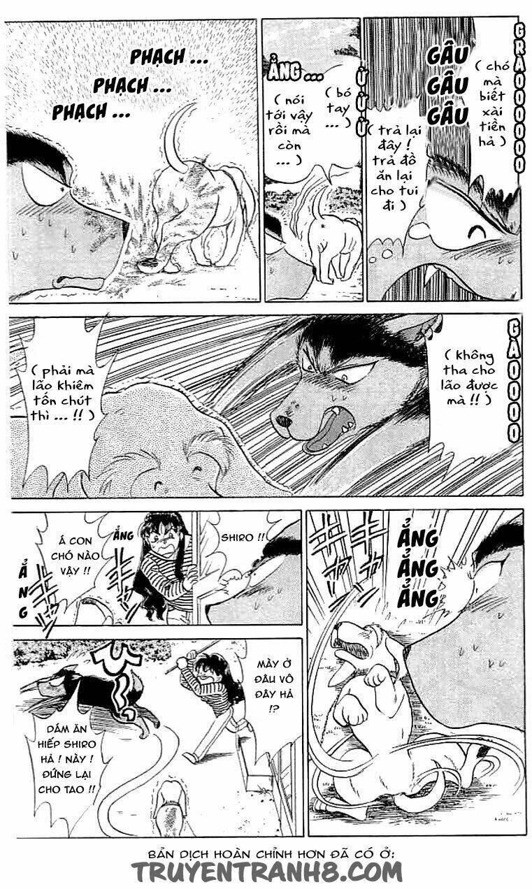 Wild Half - Chương 12