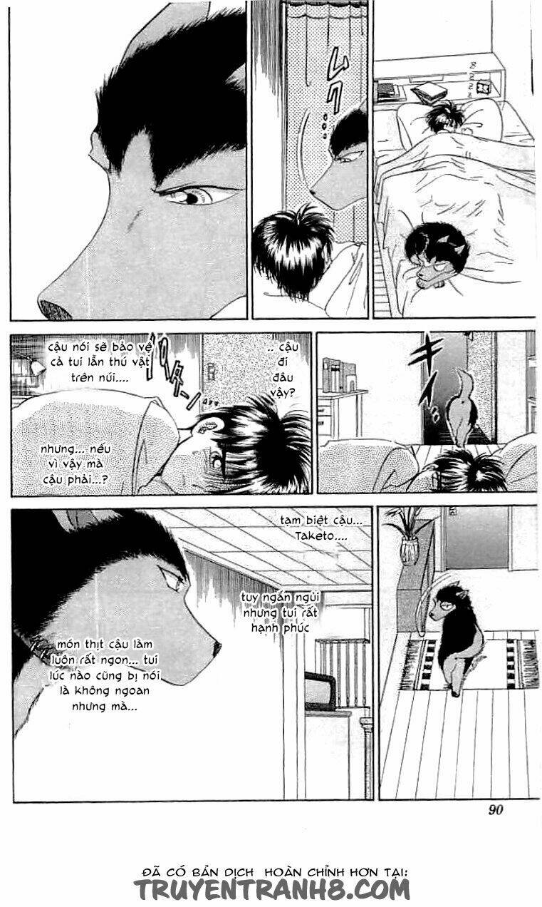 Wild Half - Chương 21