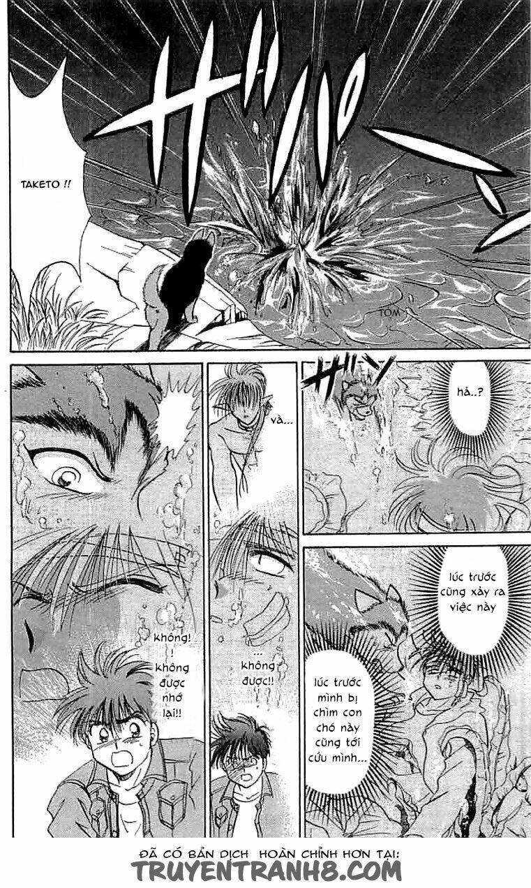 Wild Half - Chương 22