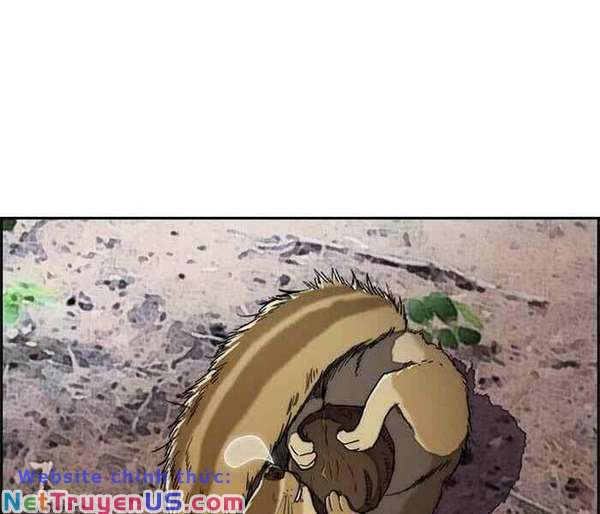 Wind Breaker - Chương 262