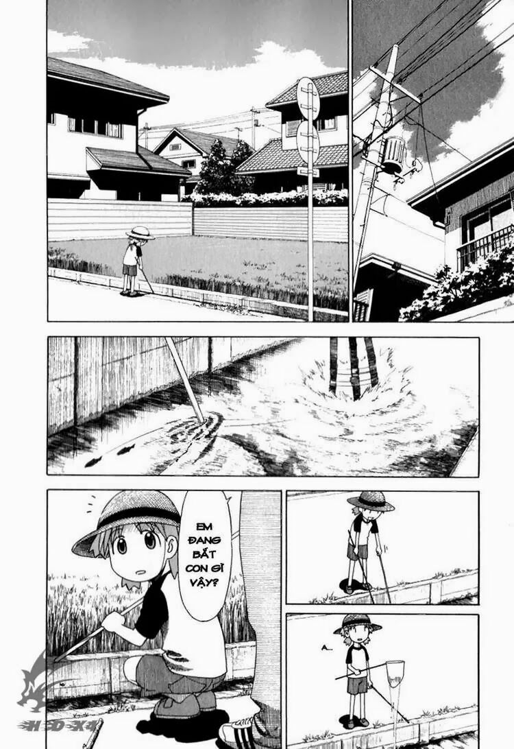 Yotsubato! - Chương 13