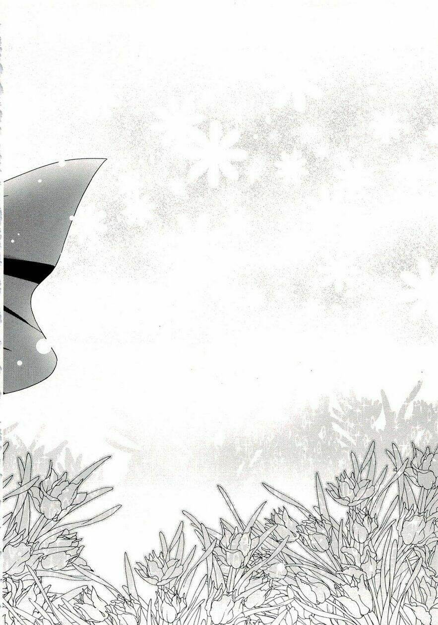 Zero No Tsukaima! - Chương 36