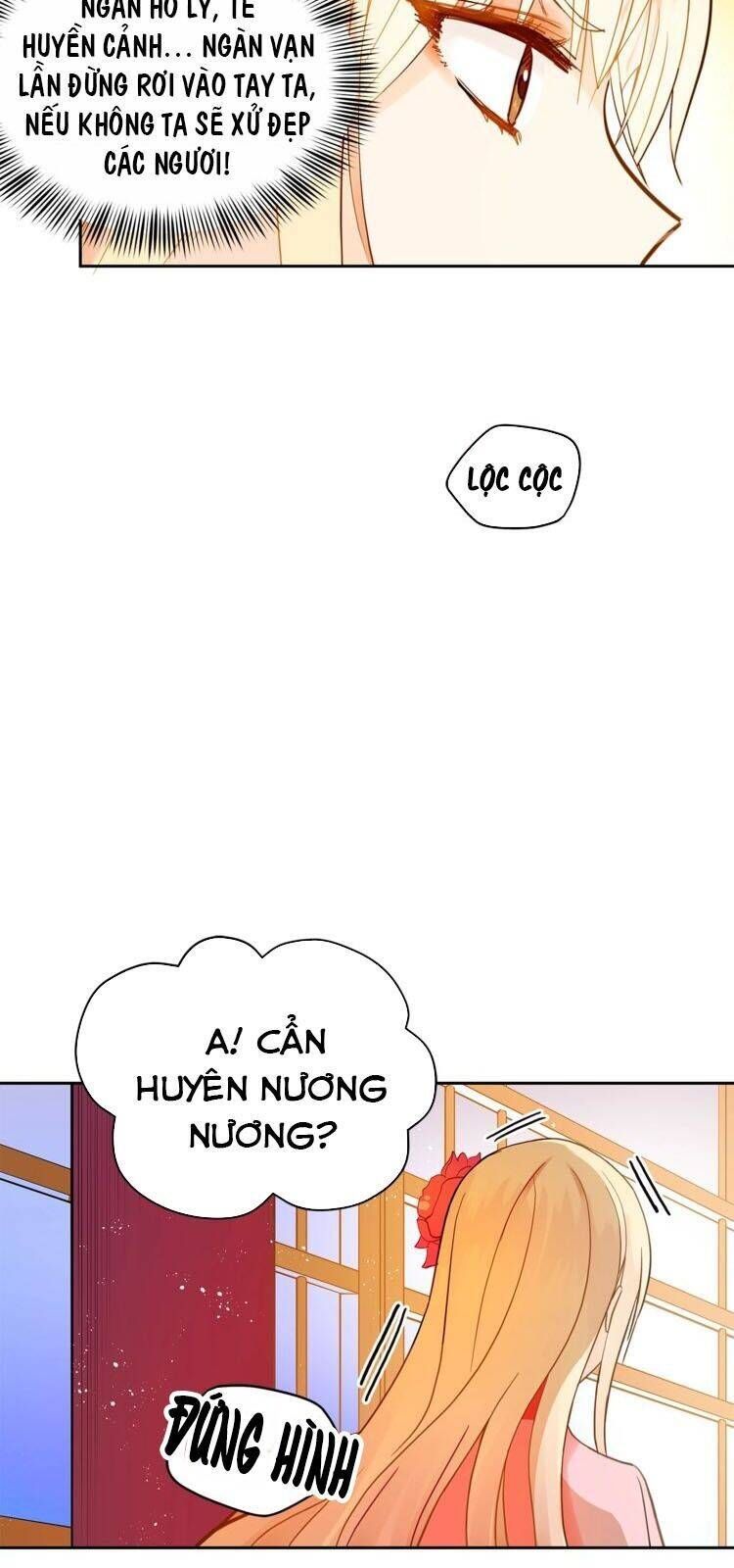 Ái Phi Khế Ước - Chương 11