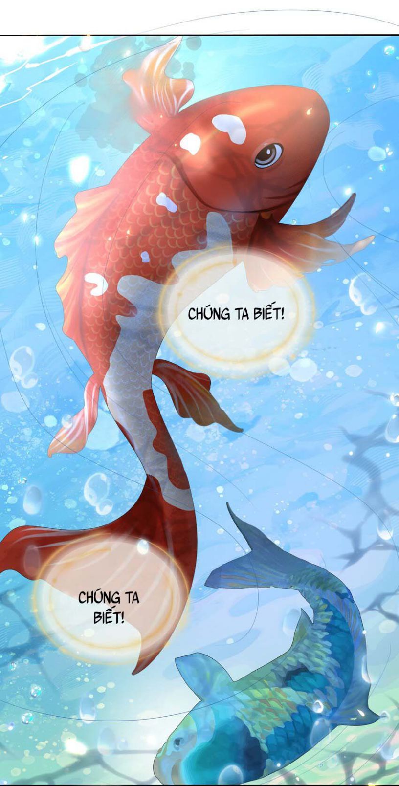 Bất Uổng - Chương 11