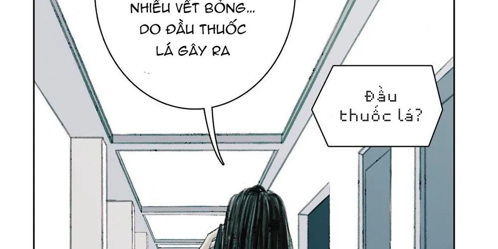 Bình Minh - Chương 2