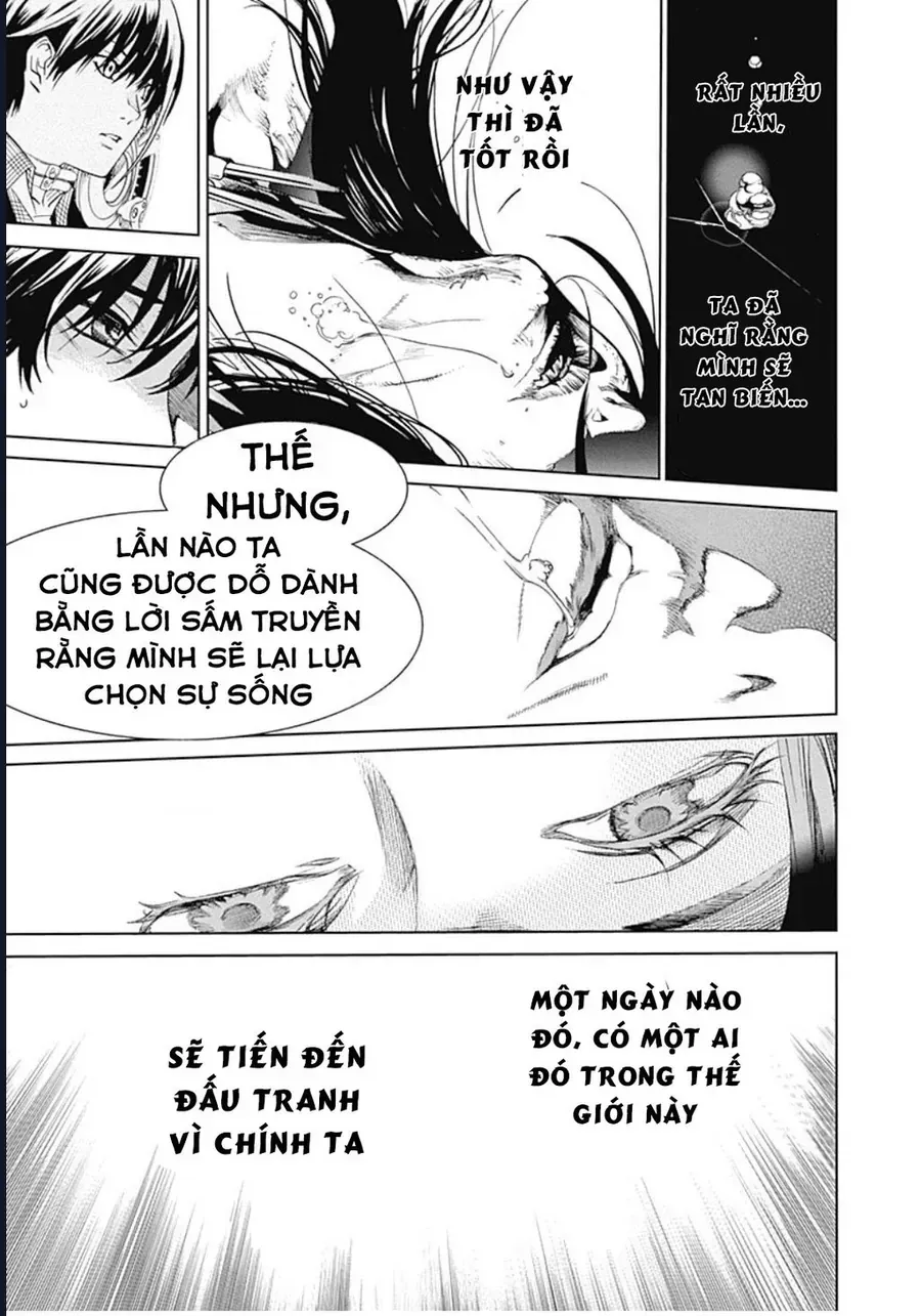 Biorg Trinity - Chương 33