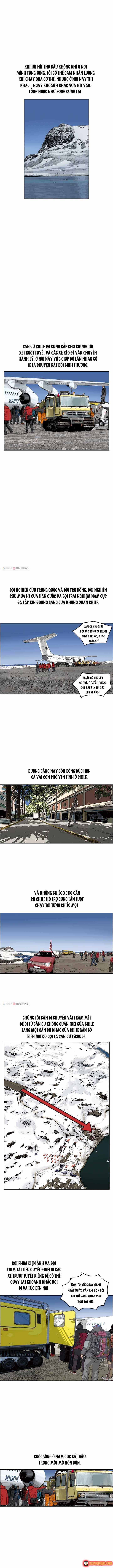Cá Con (Vảy Cá) - Chương 17