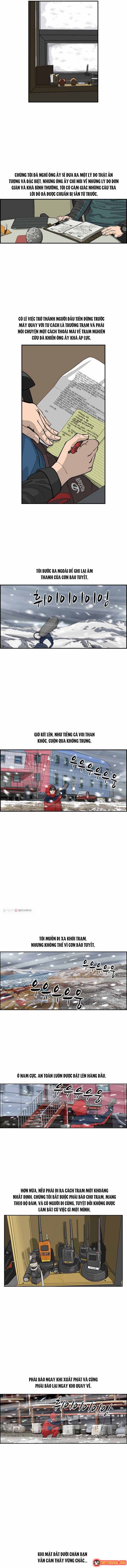 Cá Con (Vảy Cá) - Chương 22