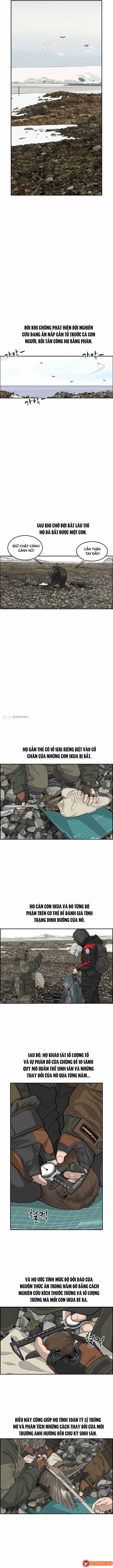 Cá Con (Vảy Cá) - Chương 33